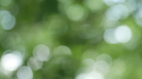 Bokeh background image Can be used as a backdrop Stock Footage 110626096
