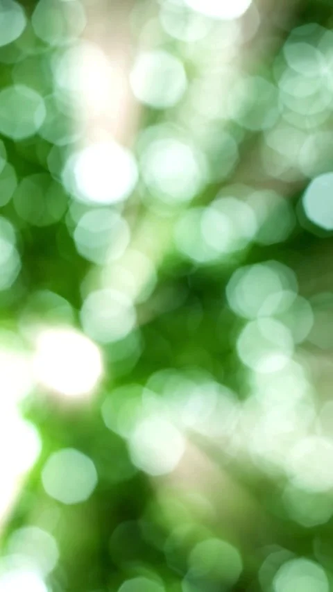 Bokeh background, Light Effect Stock Footage 314746968