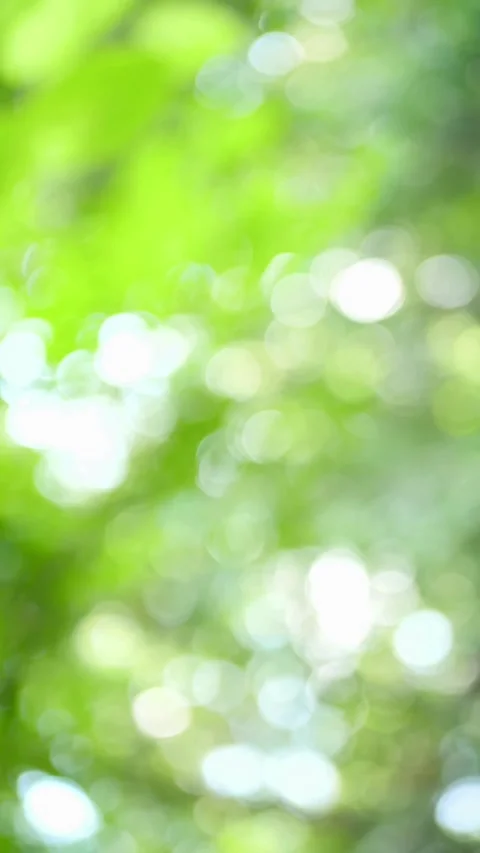 Bokeh background, Light Effect Stock Footage 314747098