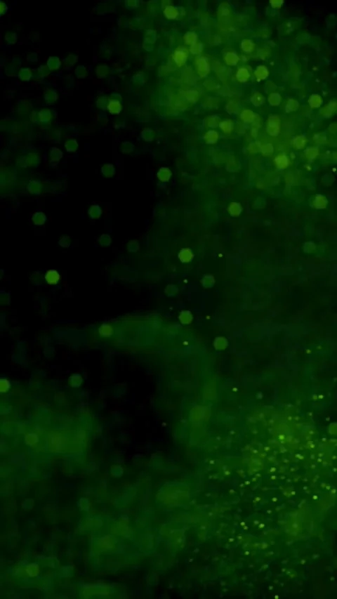 Bokeh background, Light Effect Stock Footage 314747139