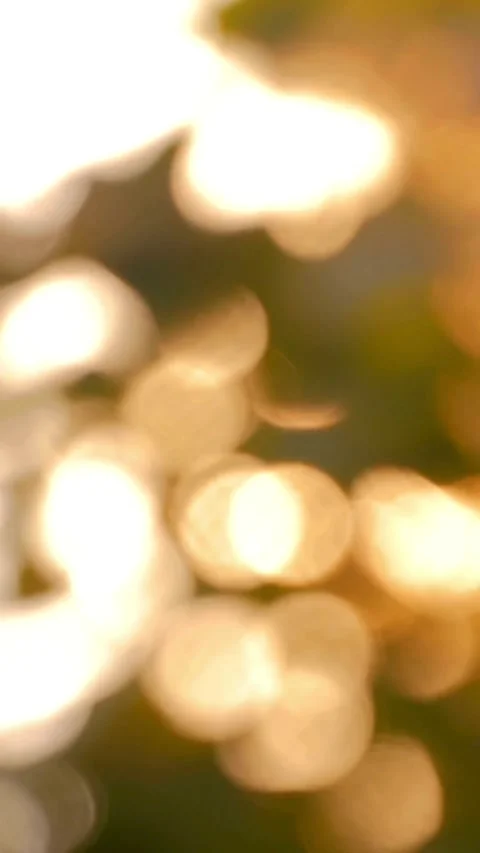 Bokeh background, Light Effect Stock Footage 314747167