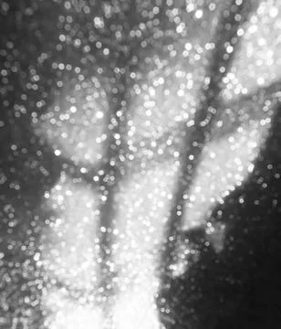 Bokeh Background Light Effect Grey Sparkle white Glow Blur Shadow Фото