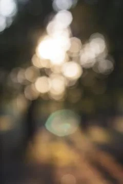 Bokeh on the background of nature Stockfoto's