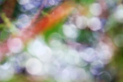 Bokeh for background Stock Photos