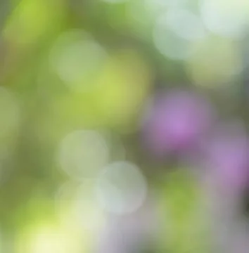 Bokeh background Stock Photos