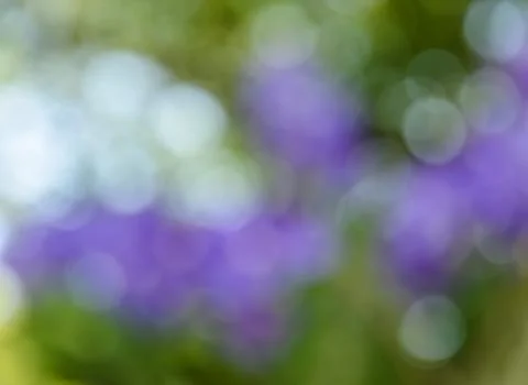 Bokeh background Stock Photos