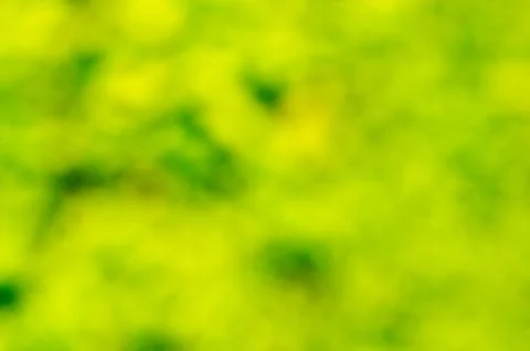 Bokeh background Stock Photos