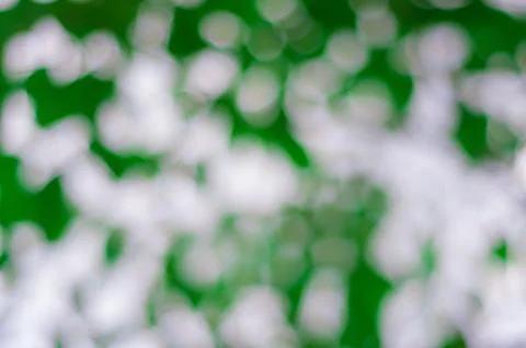 Bokeh background Stock Photos