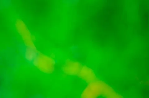 Bokeh background Stock Photos