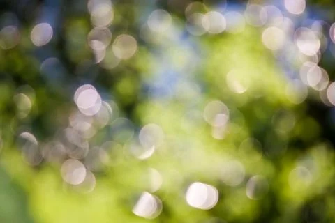 Bokeh background Stock Photos