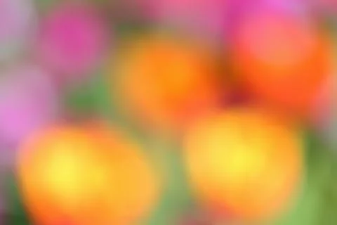 Bokeh background Stock Photos