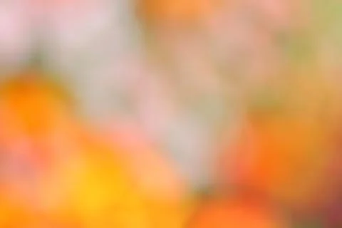 Bokeh background Stock Photos