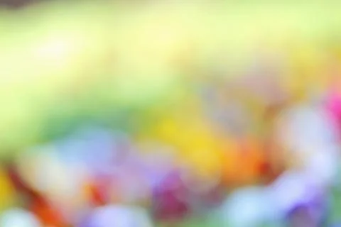 Bokeh background Stock Photos