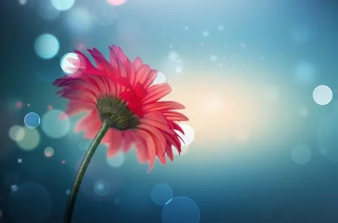 Bokeh background with red flower Stock Illustration