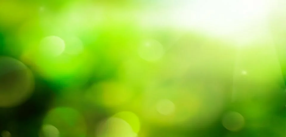 Bokeh background spring  Stock Photos