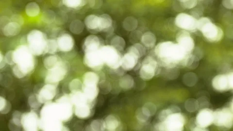 Bokeh Background01 Stock Footage 93034750