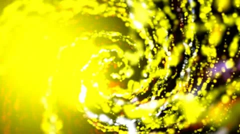 Bokeh blur 2 Stock Footage 18007432