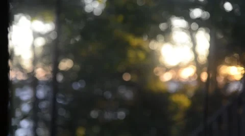 Bokeh Blur Light Abstract Background through Trees at Sunset Stock Footage 53535958