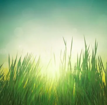 Bokeh blurred background. Stock Photos