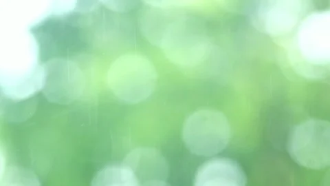 Bokeh Blurred Light Green Video stock 294627657