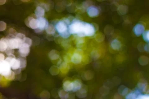 Bokeh blurred out of focus background Stock Photos