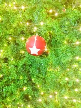 Bokeh blurred out of focus background christmas fir tree Stock Photos