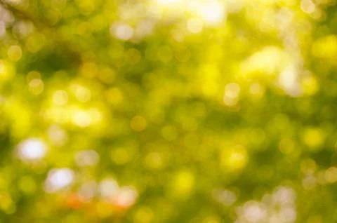 Bokeh bubble 스톡 사진