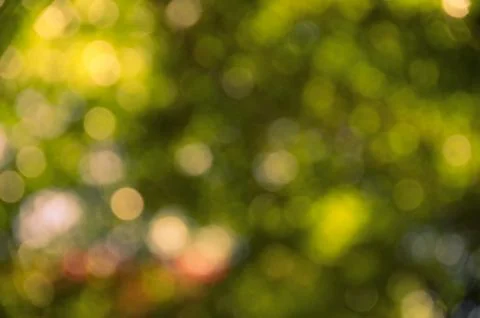 Bokeh bubble 스톡 사진