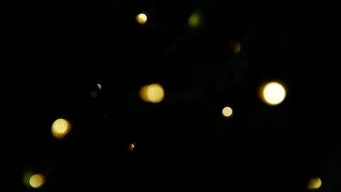 Bokeh Bubbles 3 Stock Footage 96772814