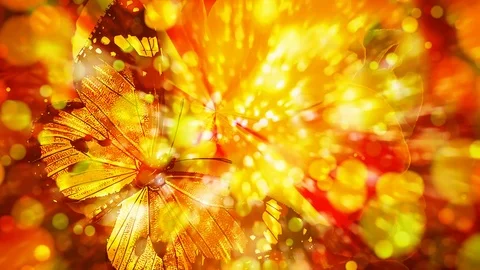 Bokeh Butterfly Background Effect 動画素材 89885214