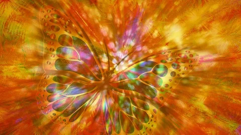 Bokeh Butterfly Background Effect Stock-Footage 89885637