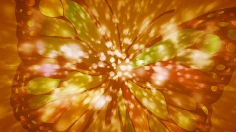 Bokeh Butterfly Background Effect Stock-Footage 89885911