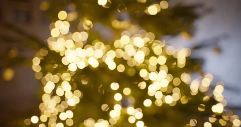 Bokeh Christmas Lights on Tree Stock Footage 329530609