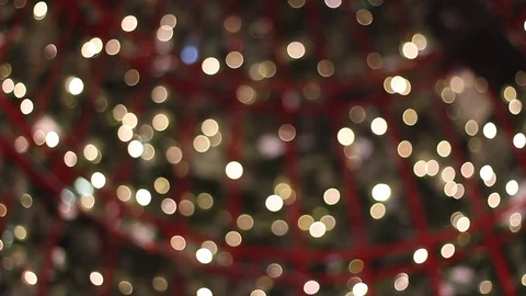Bokeh Decorative outdoor string lights of Christmas tree in the garden Stock Footage 120605135