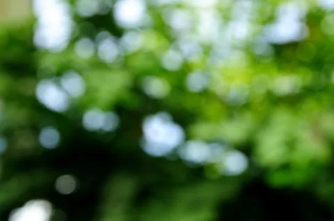 Bokeh from defocus of sun light. Stock Photos