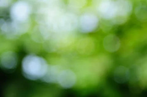 Bokeh from defocus of sun light. Stock Photos