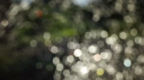 Bokeh drops (1) 库存影片 28831335
