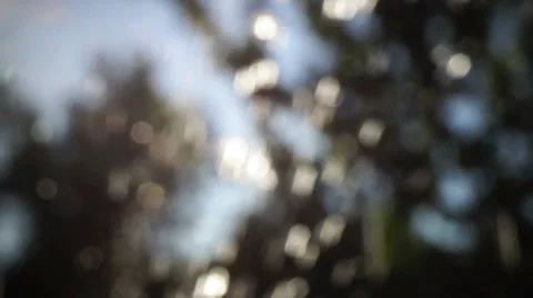 Bokeh drops (3) Видео 28841121