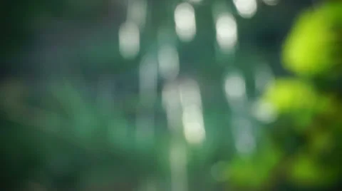 Bokeh drops (5) Stock Footage 31157851