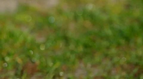 Bokeh drops of water Stock Footage 36740583