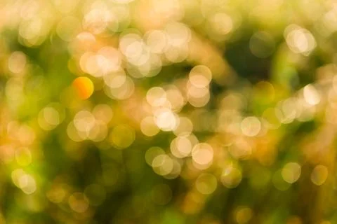 Bokeh of drops of water on the grass Stock Illustration