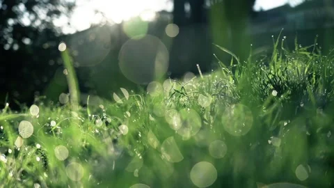 Bokeh effect Slow Motion Stock Footage 308078651