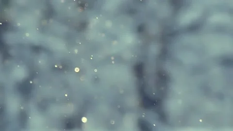 Bokeh of falling out-of-focus snowflakes in sunlight. Stock Footage 142314560