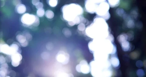 Bokeh Stock Footage 93689315