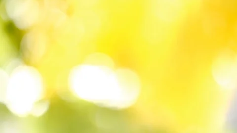 BOKEH Stock Footage 98073041