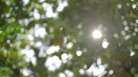 Bokeh 動画素材 235292867