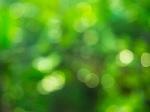 Bokeh on green background. Stock Photos