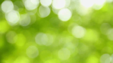 Bokeh  green Stock-Footage 36256373