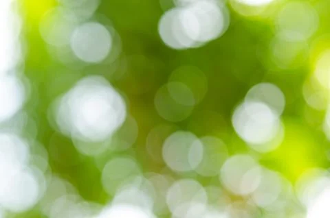 Bokeh green Stock Photos