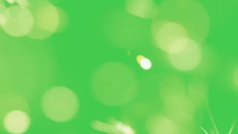 Bokeh Green Screen Gold Motion Видео 344763534